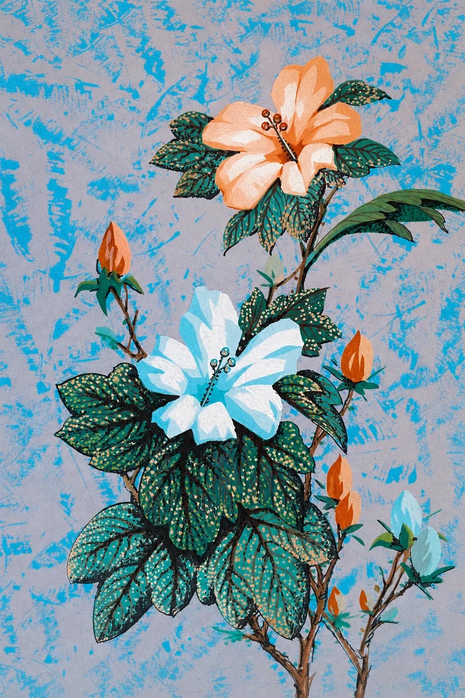 盛夏双芙蓉