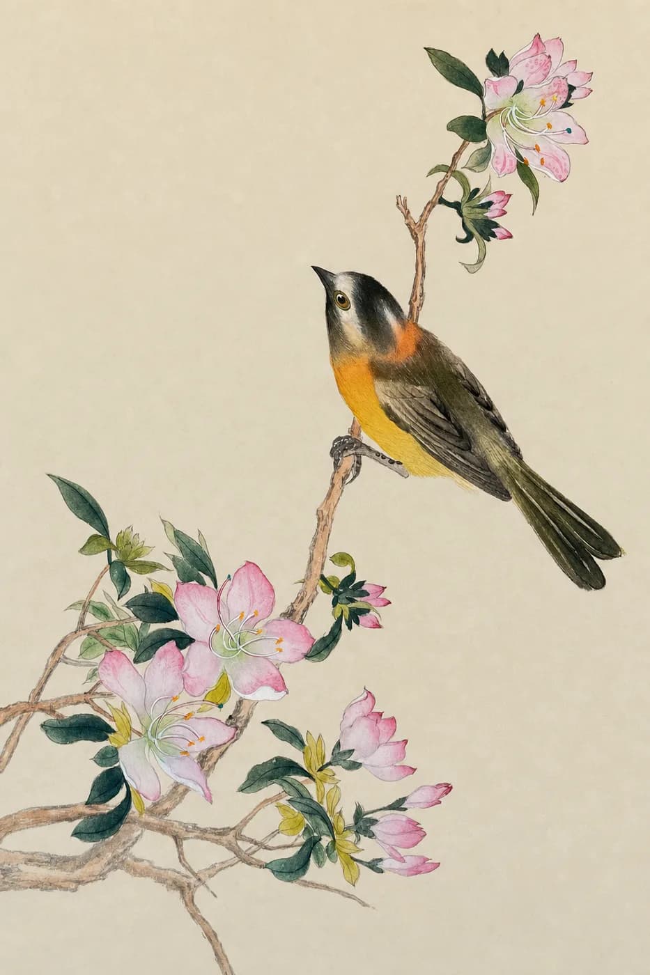 花鳥図