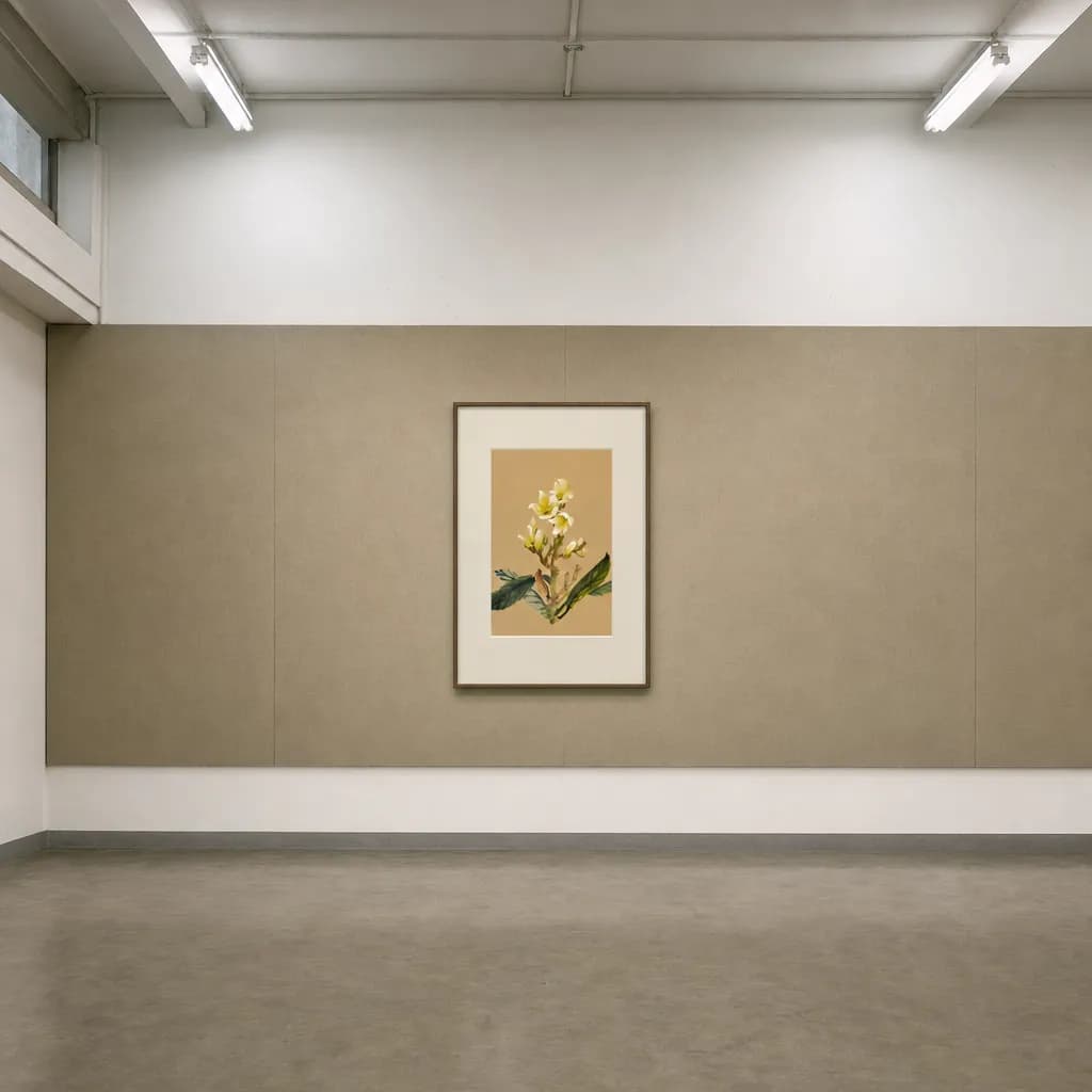 展示風景